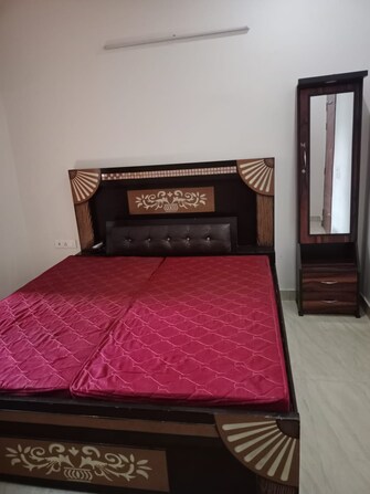 1 BHK Builder Floor For Rent in SS Southend Floors South City 2 Gurgaon  8065661