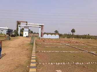 Plot For Resale in Patna - Gaya Road Patna  8065662