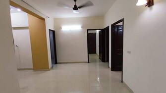 3 BHK Apartment For Rent in Tulip White Sector 69 Gurgaon  8065828