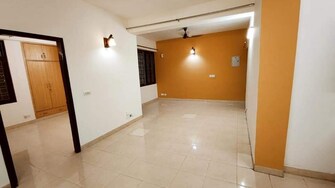 3 BHK Apartment For Rent in Tulip White Sector 69 Gurgaon  8065828