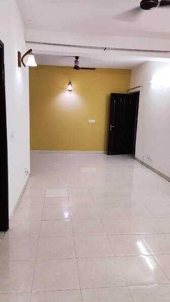 3 BHK Apartment For Rent in Tulip White Sector 69 Gurgaon  8065828