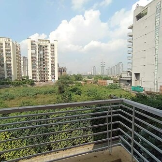 3 BHK Apartment For Rent in Tulip White Sector 69 Gurgaon  8065828