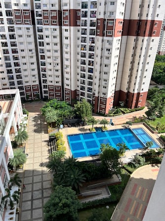 2 BHK Apartment For Resale in Prestige Sunrise Park Norwood Electronic City Phase I Bangalore  8065881