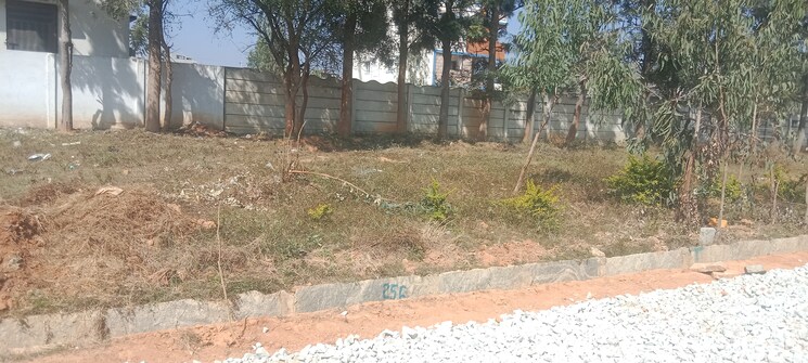 undefined, budigere road  1254 Sq.Ft. Plot In Budigere Road Bangalore 8065937