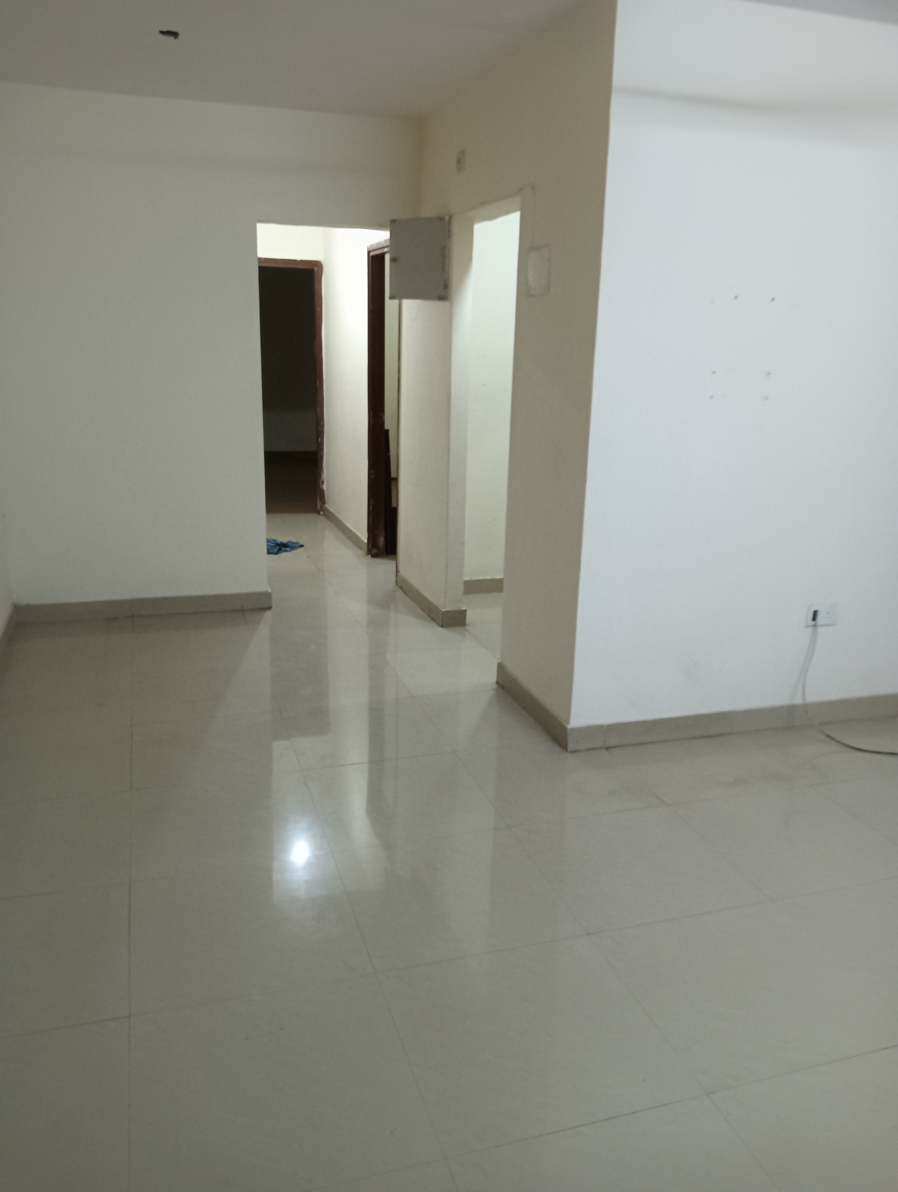 1 BHK Apartment For Sale in DB Orchid Ozone