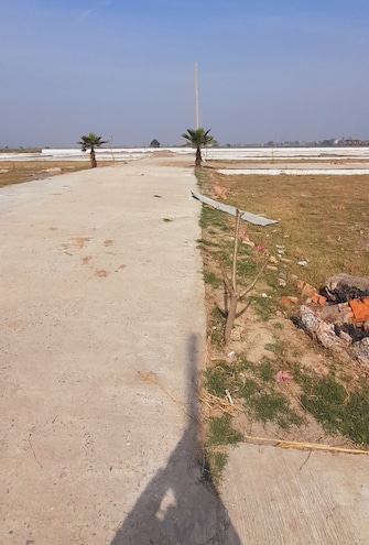 Plot For Resale in Jewar Greater Noida  8066043