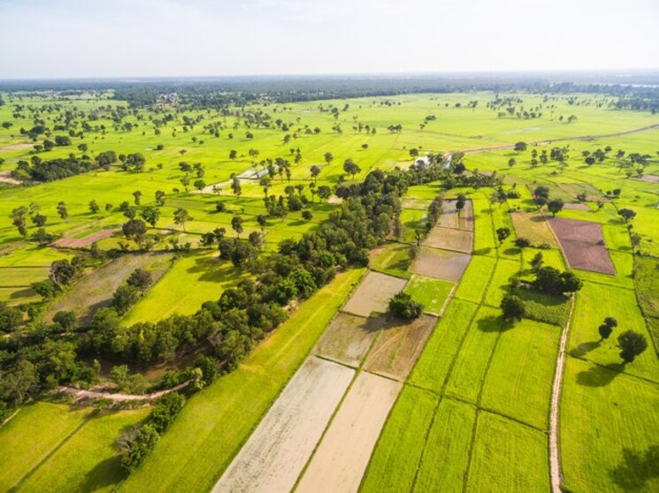 Garden, khalapur  6000 Sq.Ft. Plot In Khalapur Navi Mumbai 8066049