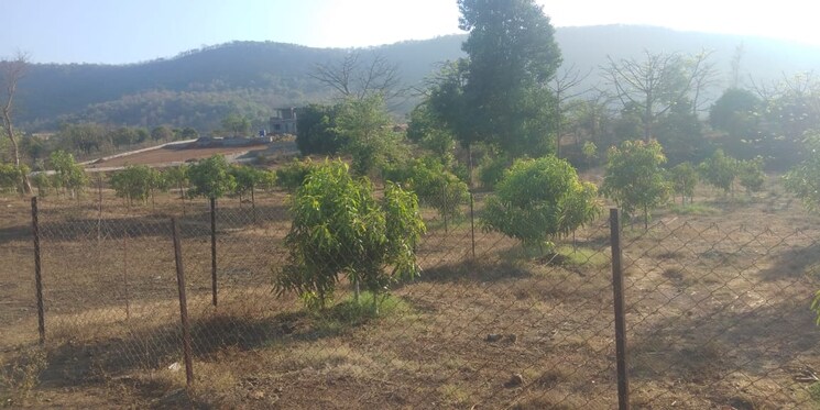 undefined, khalapur  6000 Sq.Ft. Plot In Khalapur Navi Mumbai 8066049