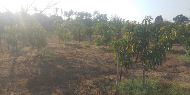 undefined, panvel  5000 Sq.Ft. Plot In Panvel Navi Mumbai 8066050