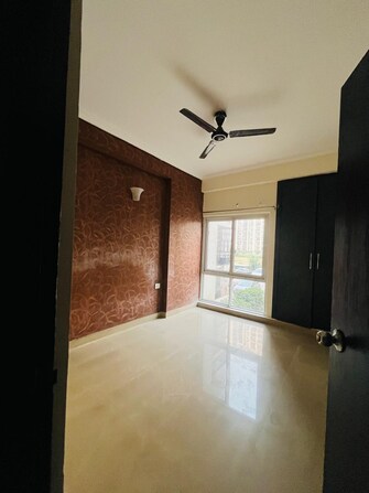 2 BHK Apartment For Rent in RWA Apartments Sector 116 Sector 116 Noida  8066089