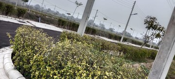  Plot For Sale in Sector 36