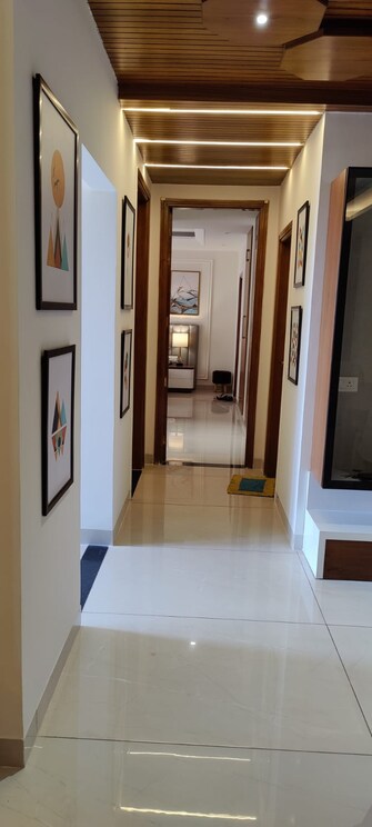 3 BHK Apartment For Rent in MRS Hi Greens Kishanpura Zirakpur  8066369