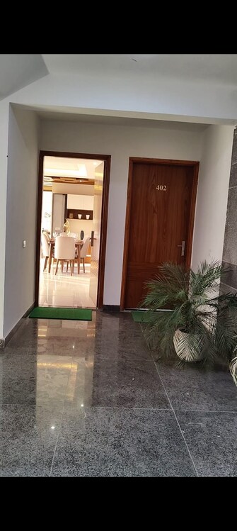 3 BHK Apartment For Rent in MRS Hi Greens Kishanpura Zirakpur  8066369