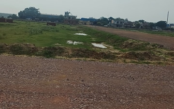 Plot For Sale in Mansha Orchid, Sector 110
