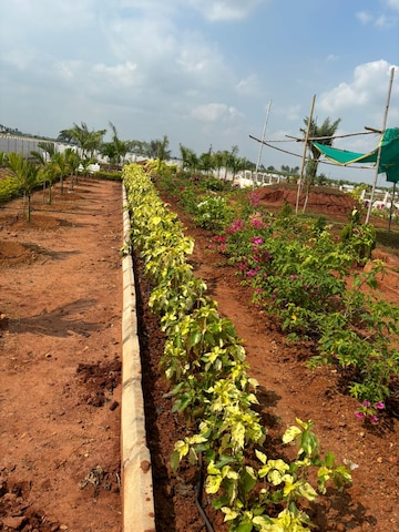 Plot Area in  Plot at Sri Bhumi Eeshaanya, Kankipadu – for Sale