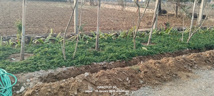 undefined, khatipura  100 Sq.Yd. Plot In Khatipura Jaipur 8066601