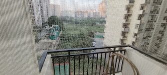 1 BHK Apartment For Rent in Maxblis Grand Kingston Sector 75 Noida  8066701