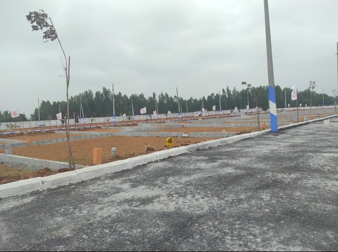 Plot For Sale in Zai Residency