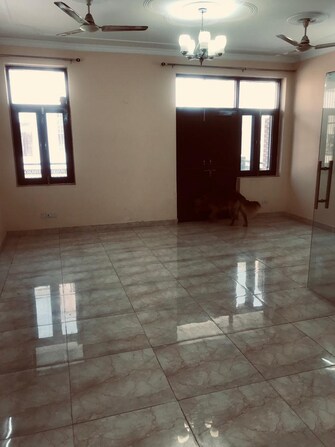 3 BHK Builder Floor For Rent in RWA Apartments Sector 31 Noida  8066955