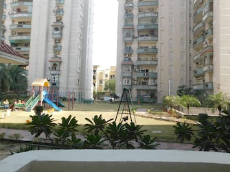 4 BHK Penthouse For Rent in Amrapali Sapphire Sector 45 Noida  8066991