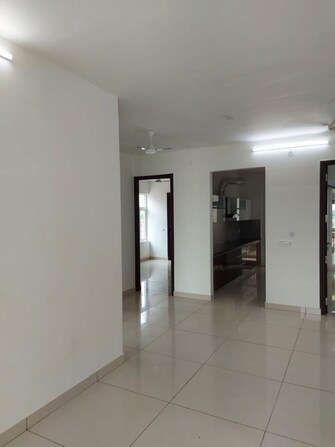 3 BHK Apartment For Rent in Hermitage Centralis Vip Road Zirakpur  8067254