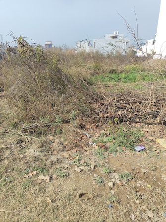 Plot For Resale in Sector 2 Bahadurgarh  8067289