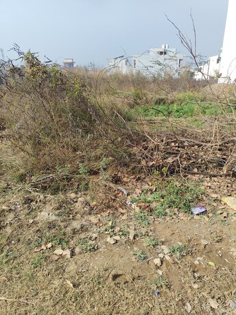 Plot For Resale in Sector 2 Bahadurgarh  8067289