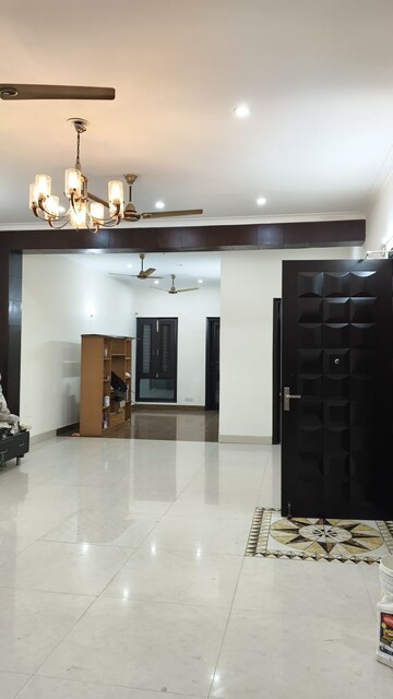 Living Room in 3 BHK Builder Floor at Sector 36 – for Rent