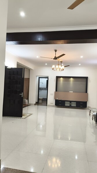 3 BHK Builder Floor For Rent in Sector 36 Noida  8067413