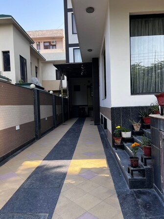 3 BHK Builder Floor For Rent in Sector 36 Noida  8067413