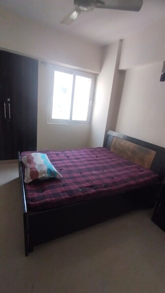 3 BHK Apartment For Rent in Aims Golf City Sector 75 Noida  8067500