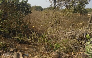 Plot For Sale in Dilsukh Nagar