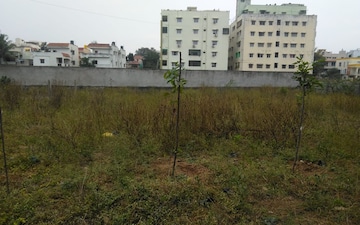 Plot For Sale in Maheshwaram