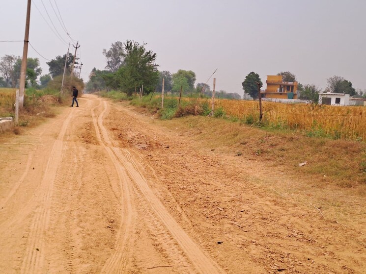 undefined, deri skaner  65 Sq.Yd. Plot In Deri Skaner Greater Noida 8067735