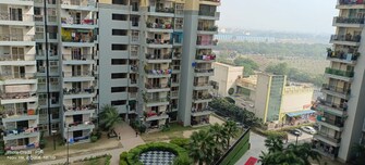 2 BHK Apartment For Resale in Galaxy Vega Noida Ext Tech Zone 4 Greater Noida  8067908