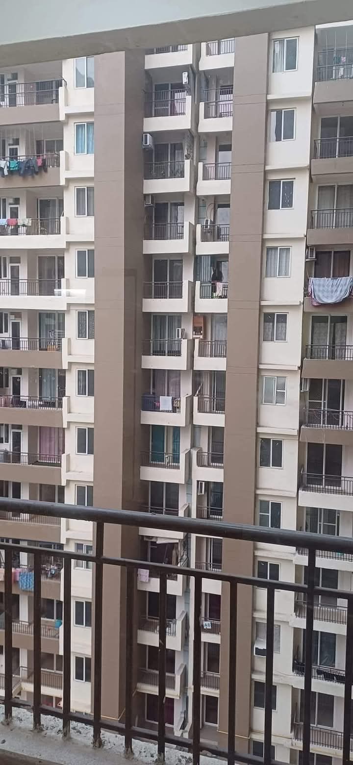 2 BHK Apartment For Sale in Amrapali Golf Homes