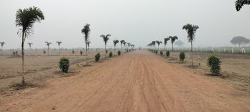  Plot For Sale in Jewar