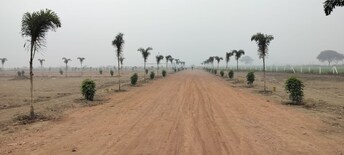 Plot For Resale in Jewar Greater Noida  8067960