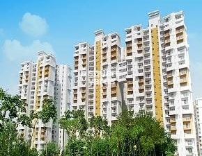 3 BHK Apartment For Rent in BPTP Elite Floors, Sector 83