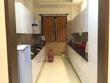 1 BHK Builder Floor For Rent in Gupta Awas Sector 43 Gurgaon  8068124