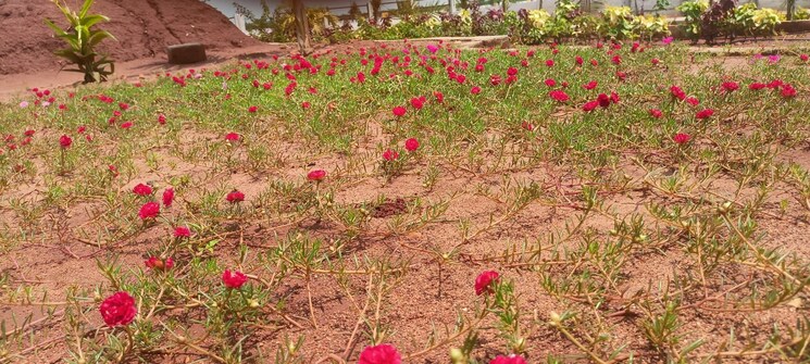 Map Location, sri-bhumi-eeshaanya  250 Sq.Yd. Plot In Kankipadu Vijayawada 8068170