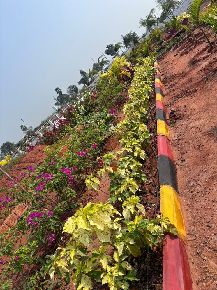 Garden, sri-bhumi-eeshaanya  350 Sq.Yd. Plot In Kankipadu Vijayawada 8068183