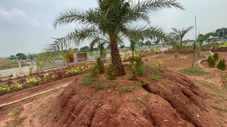 Garden, sri-bhumi-eeshaanya  350 Sq.Yd. Plot In Kankipadu Vijayawada 8068183