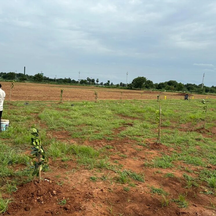 undefined, mangalagiri  200 Sq.Yd. Plot In Mangalagiri Vijayawada 8068268
