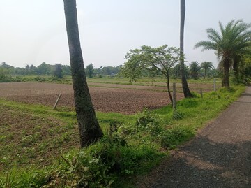 Plot – Exterior View View at Sonarpur - for Sale