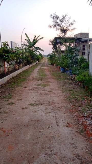  Plot – Exterior View View at Rasapunja - for Sale