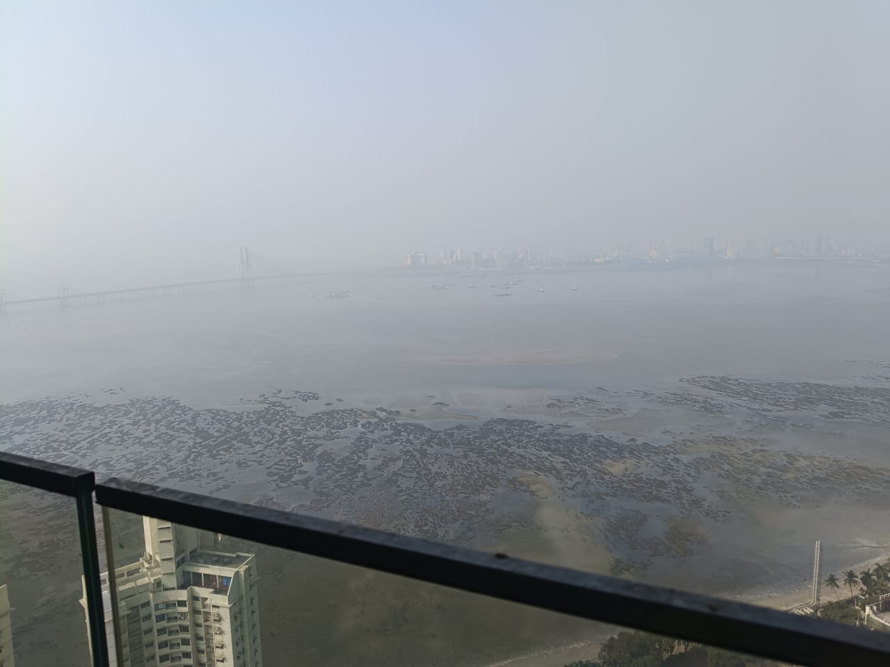 6+ BHK + Pooja Room,Servant Room,Study Room Apartment For Sale in Hubtown 25 South