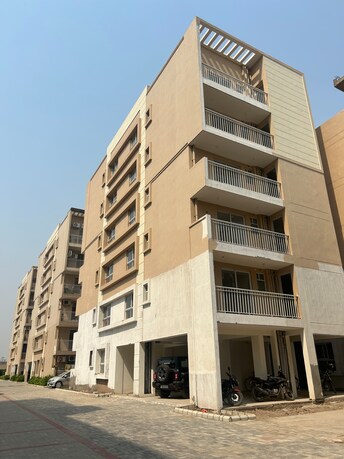 3 BHK Apartment For Resale in Sushma Joynest ZRK Ghazipur Zirakpur  8068545