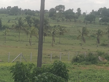  Plot For Sale in Vidyaranyapura