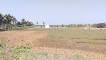 Commercial Land 80 Sq.Mt. For Resale in Devanahalli Bangalore  8068853